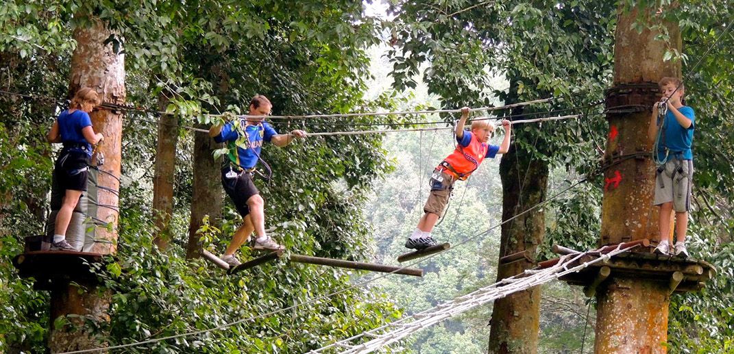 Arnalaya Beach House - Tree top